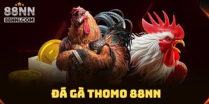 da-ga-thomo-88nn