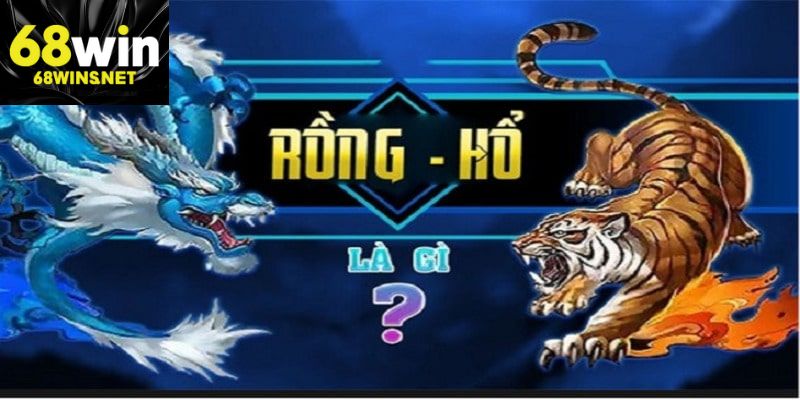 Tổng quan về rồng hổ 88NN